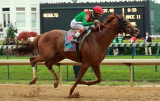 animal kingdom belmont stakes