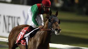 Sheikh Mohammed lands stake in Animal Kingdom after Dubai World Cup win –  The Herrick Company