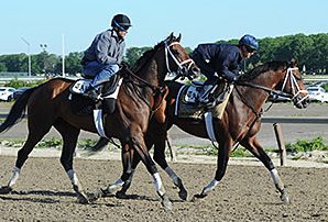 Norton Herrick’s Racehorse ‘Matterhorn’ Joins Lineup for Belmont Stakes