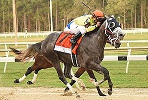 Destin, Danzing Candy Make Top 5 in NTRA Poll