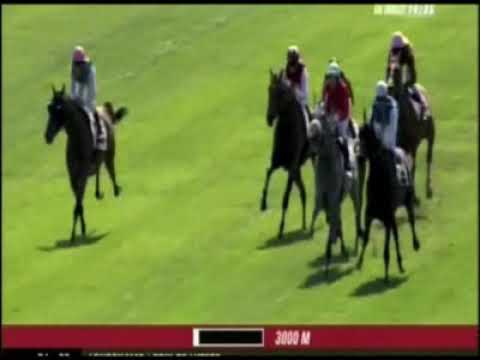 Prix De Luttece - G3 - 09/05/10