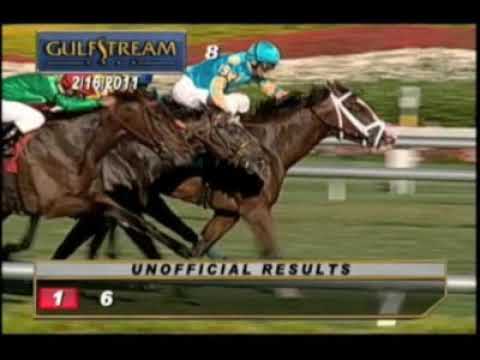 Gulfstream Park 02/16/2011 Part 1