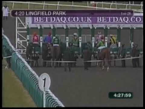 Lingfield - 02/27/2010