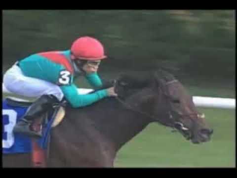 Aqueduct - 11/08/2007