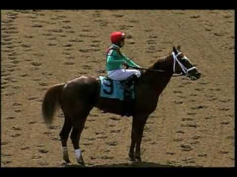 Saratoga - 8/23/2008