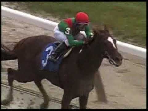 Belmont Park - 05/19/2010